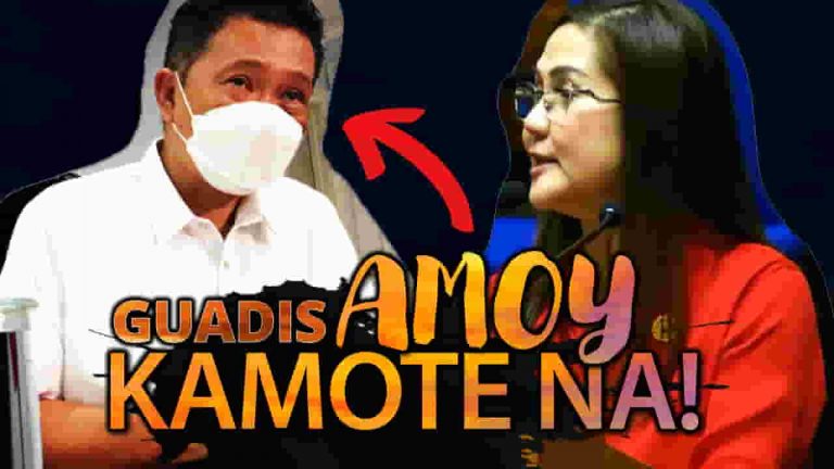 Yung sariling manok ni Guadis ang gustong ipasok sa LTO?